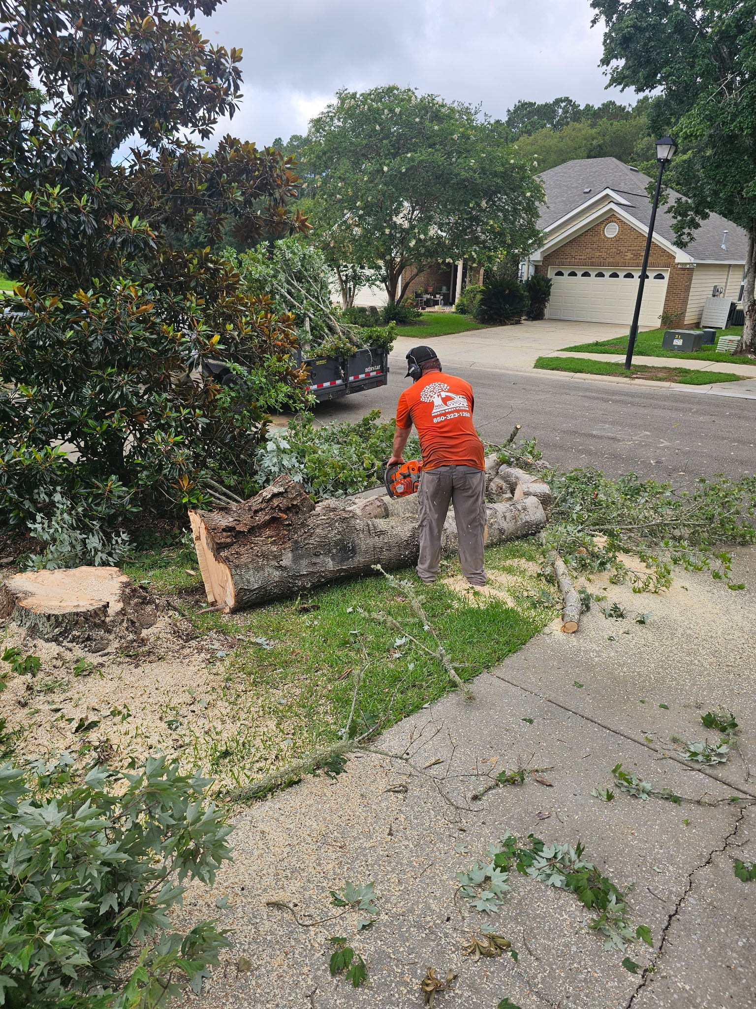 H&L crew clearing a cut tree from a residential yard