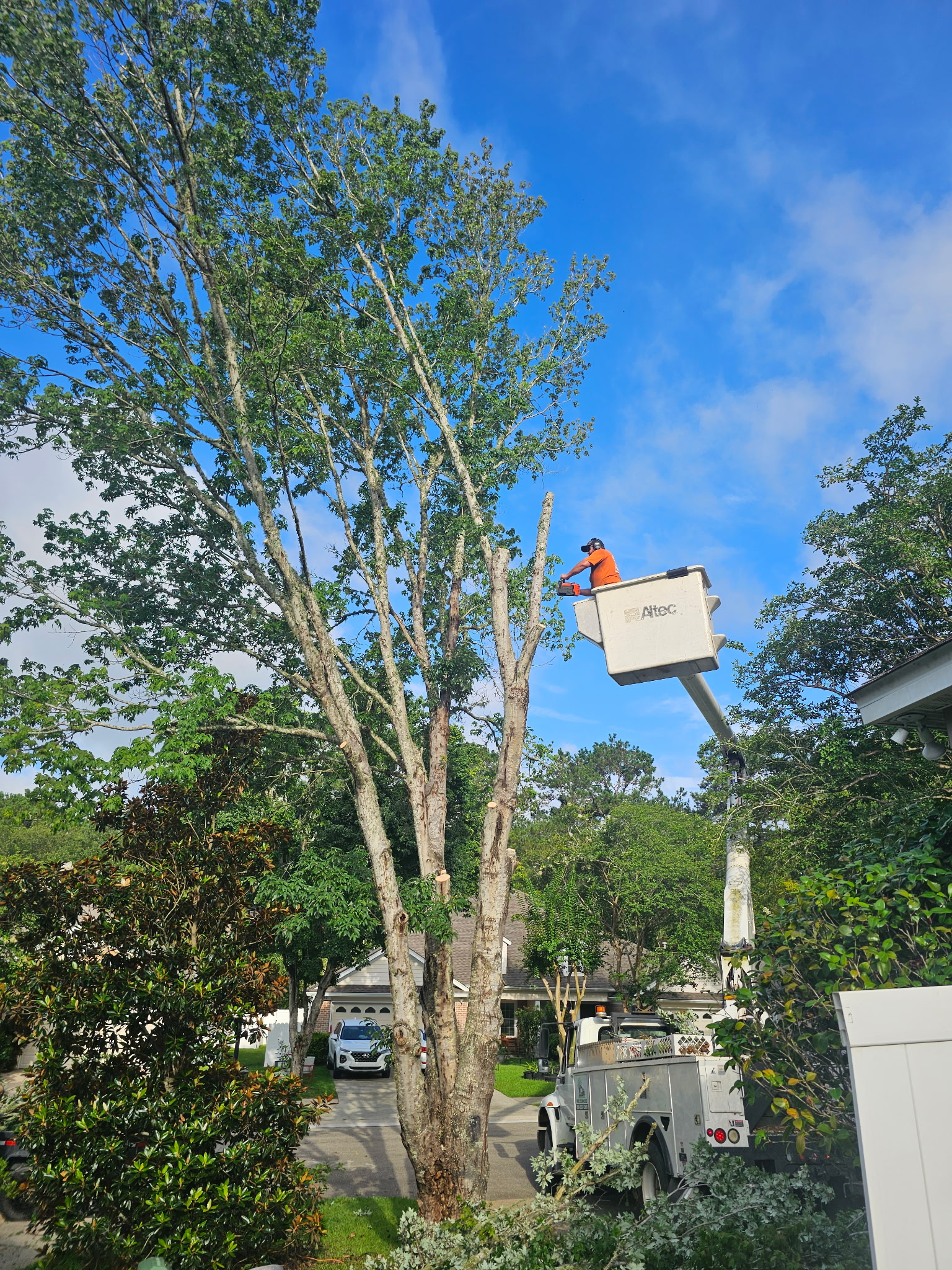 H&L performing tree work from a bucket in a residential yard